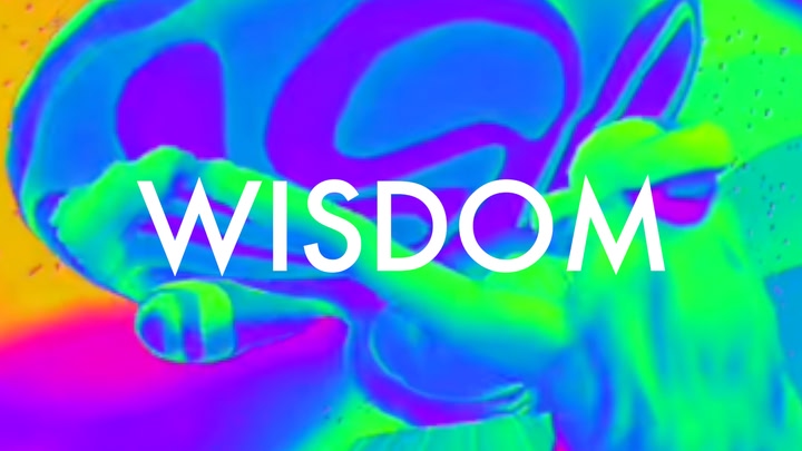 Wisdom