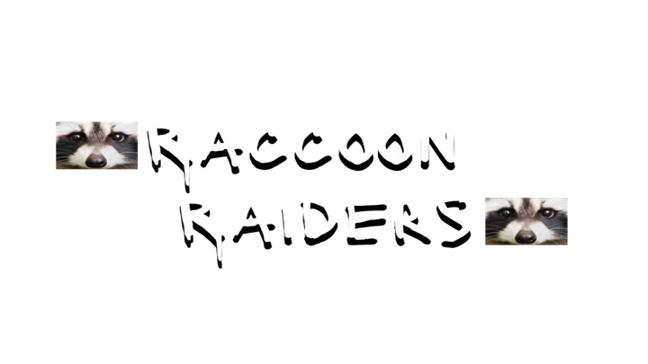 Raccoon Raiders