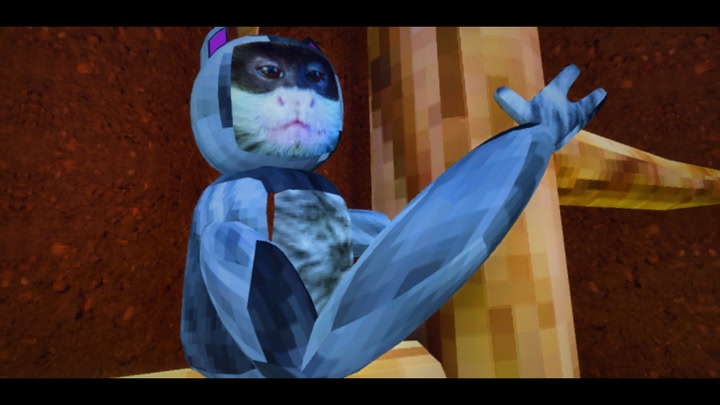 Tamarin
