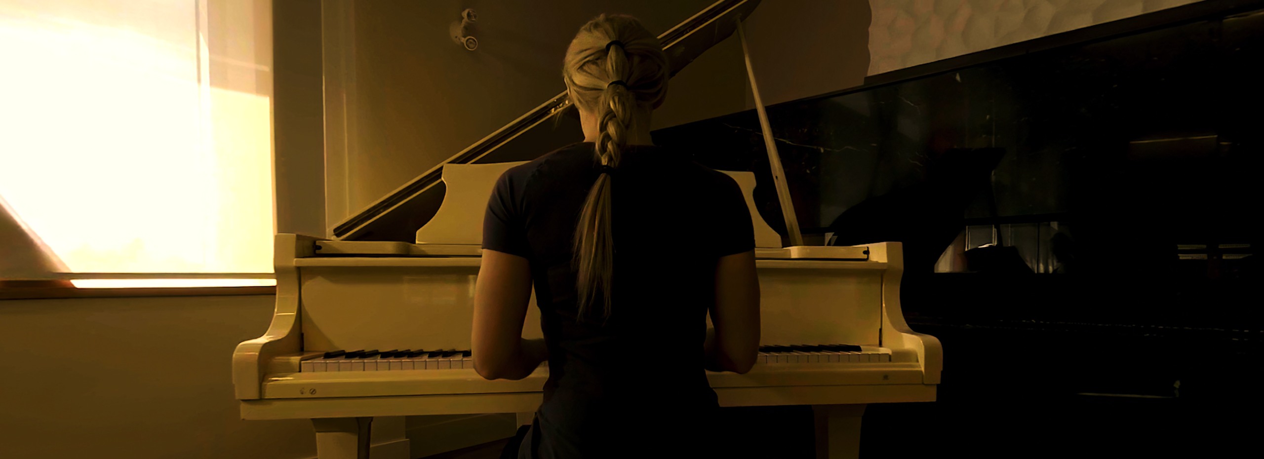 {"height":930,"type":"image","width":2560}