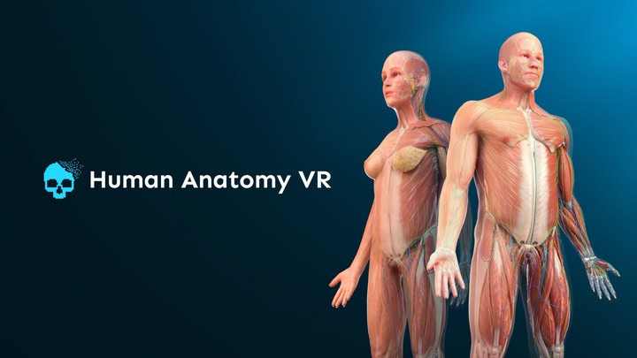 Human Anatomy VR