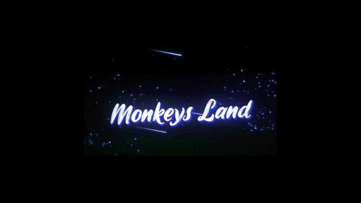 Monkeys Land