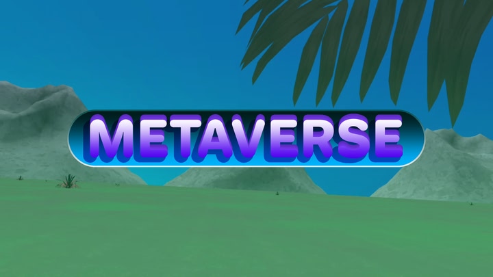 METAVERSE