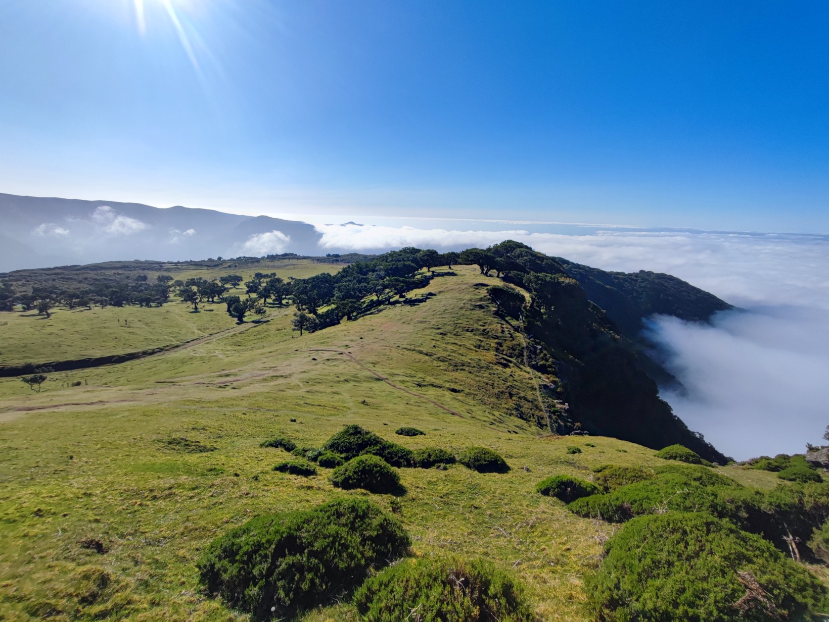 {"height":1232,"type":"image","width":1640}