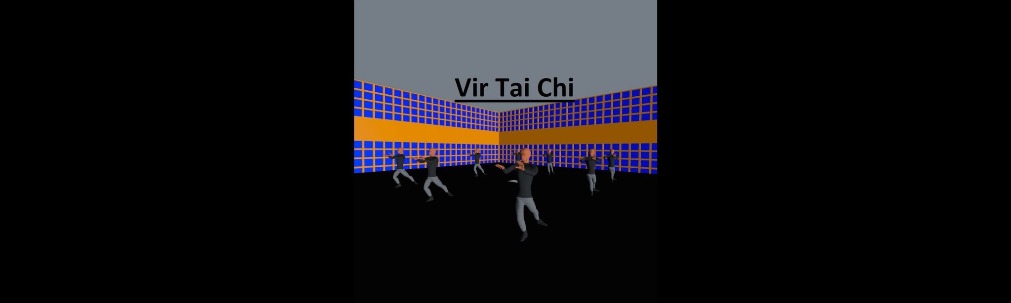 Virtual Tai Chi