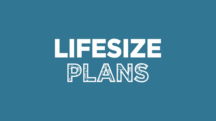 Lifesize Plans