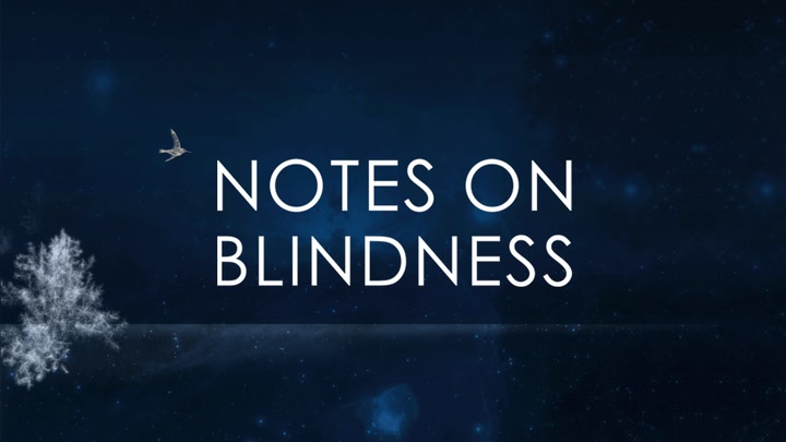 NOTES ON BLINDNESS