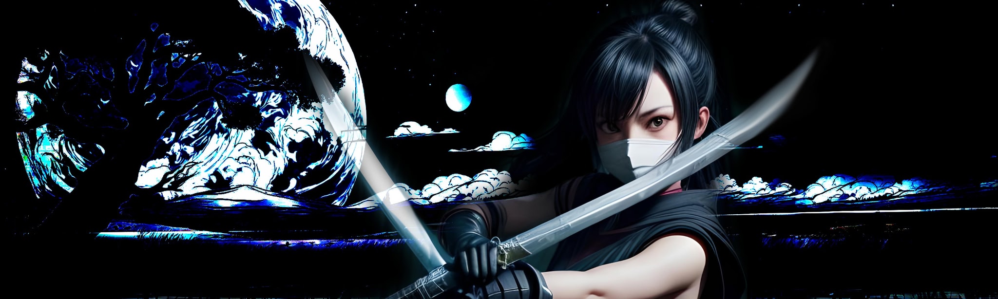 Ninja - Waltz of Night