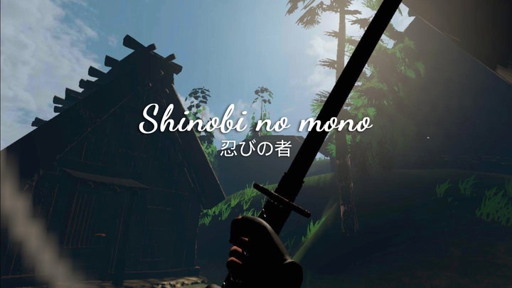 Shinobi no mono - Preface