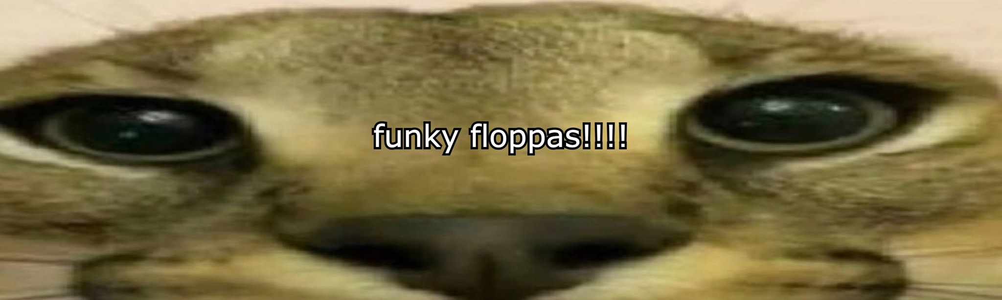 Funky Floppas