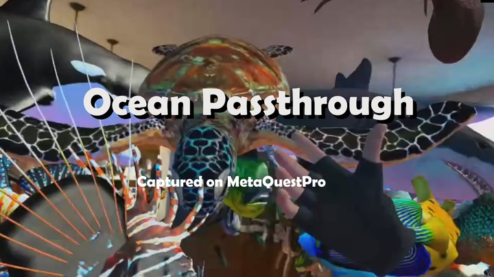 Ocean Passthrough
