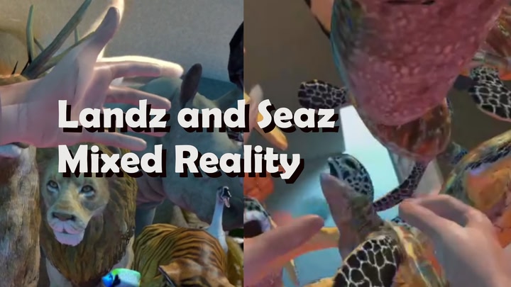 Landz and Seaz Mixed Reality