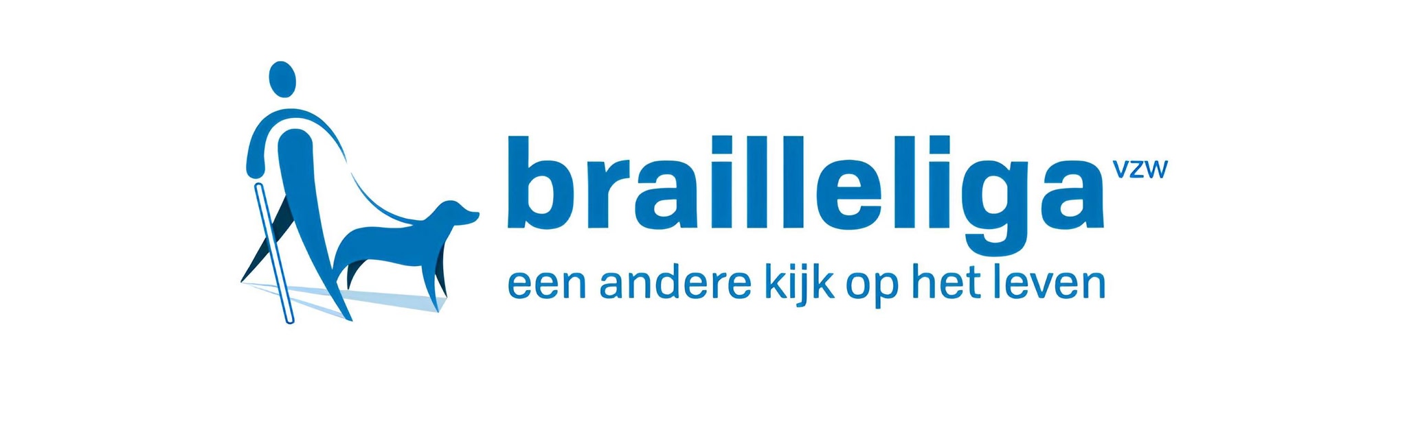 Brailleliga Experience
