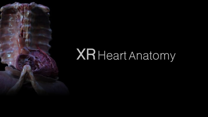 XR Heart Anatomy