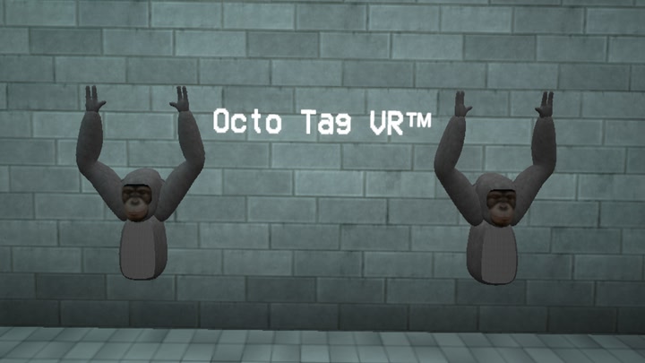 Octo Tag VR