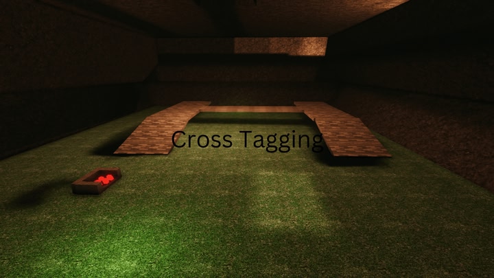 CrossTagging