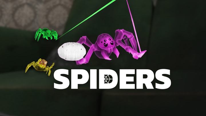 Spiders