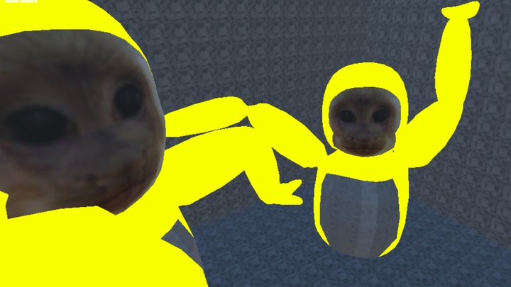 Dummy Monkeys