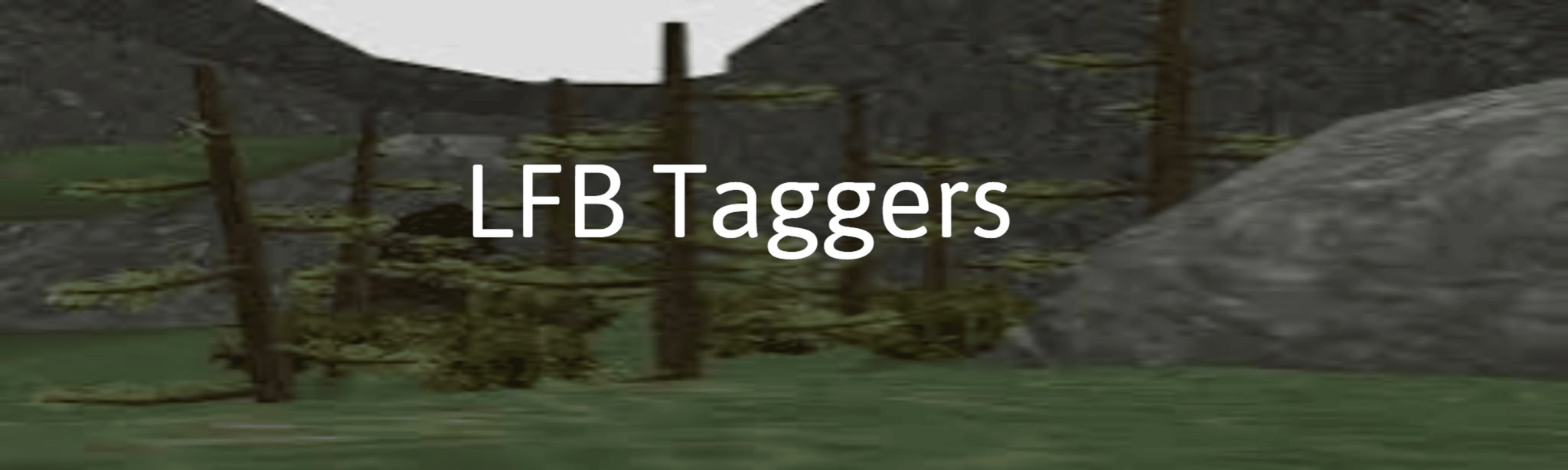 LFB Taggers