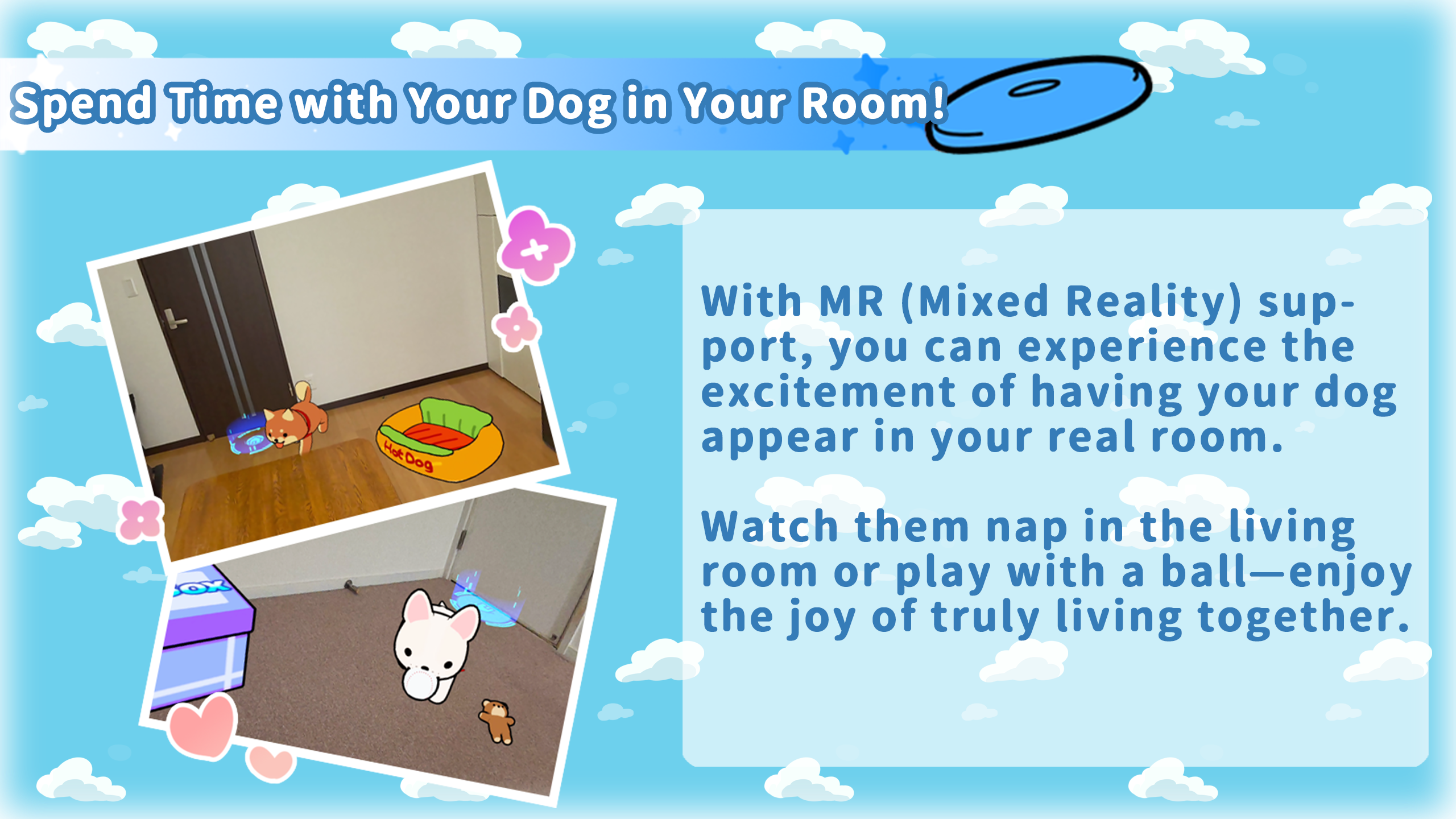 {"height":1440,"type":"image","width":2560}