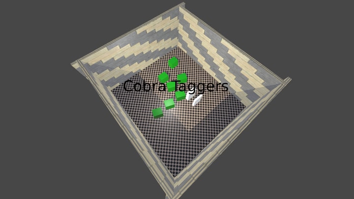 Cobra Taggers