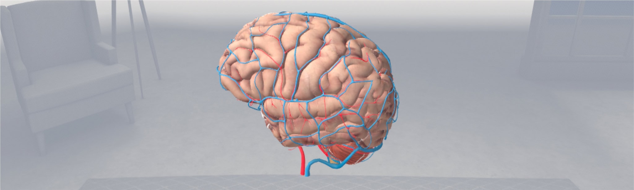 Brain VR