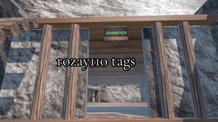 rozay110 tags