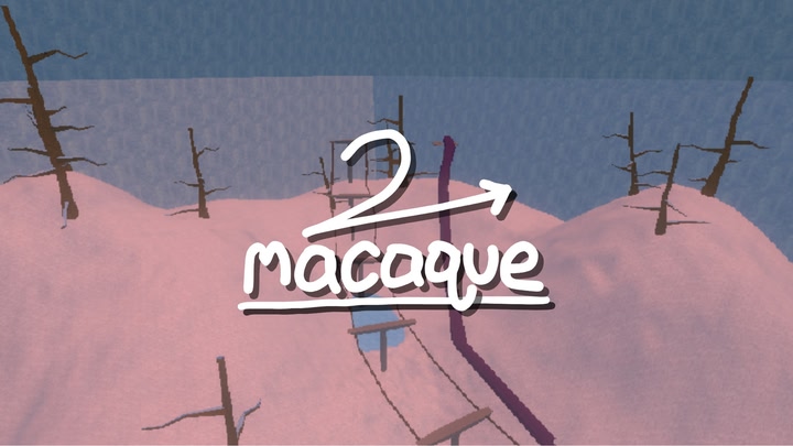 Macaque 2