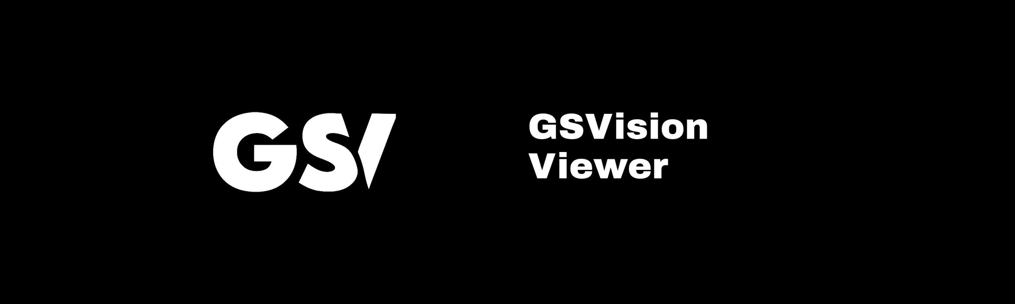 GSVision Viewer