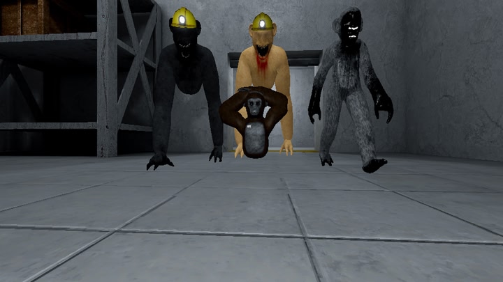Chimp Foundation Reimaged
