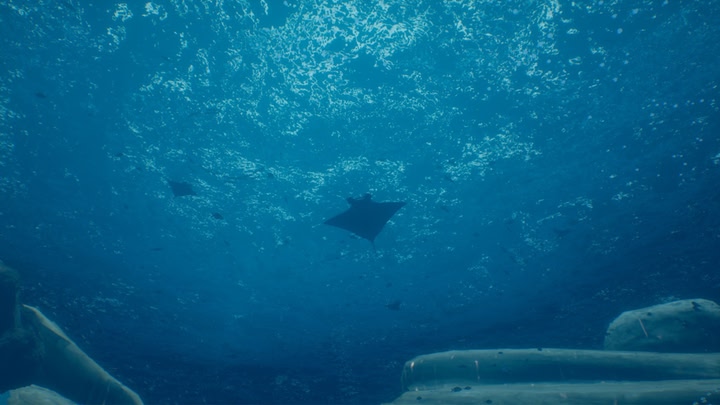 Marenostrum.VR
