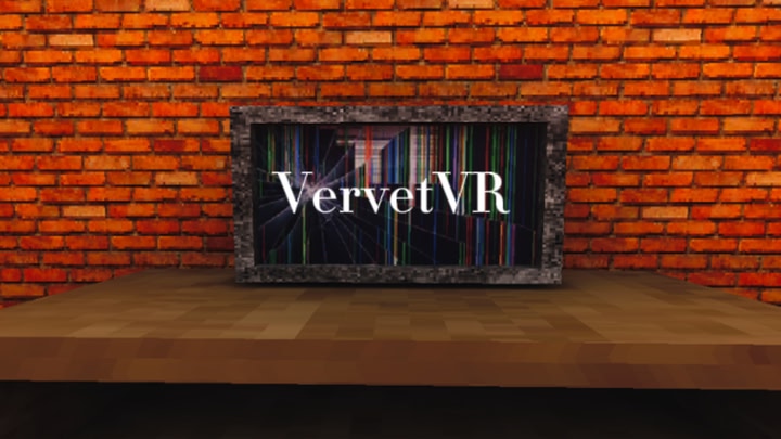 VervetVR