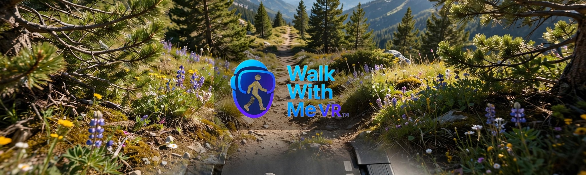 Walk With Me VR