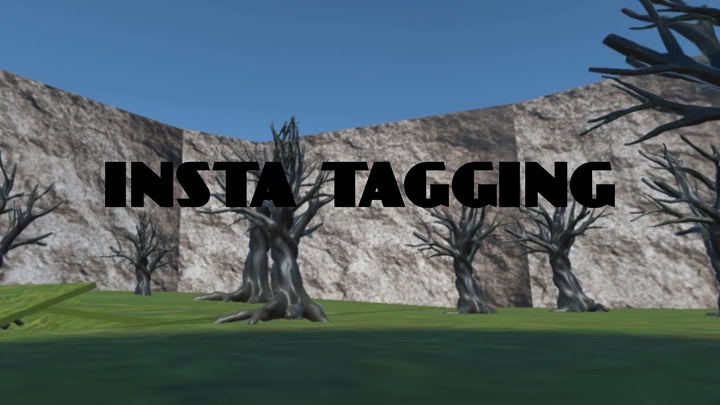 Insta Tagging