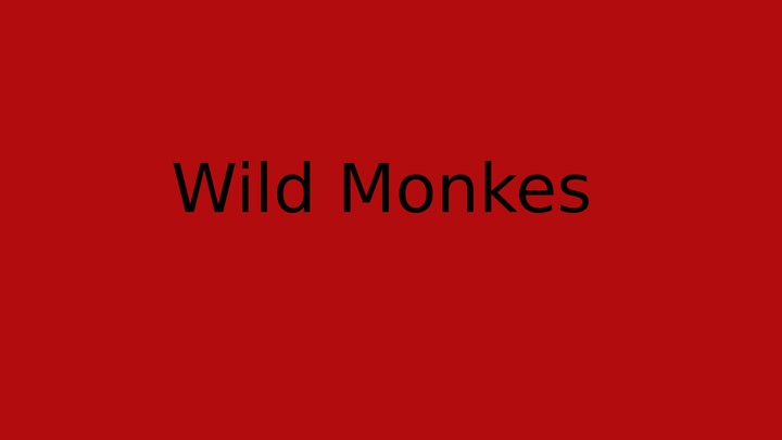 Wild Monkes