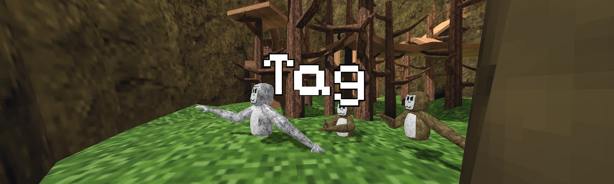 Tag