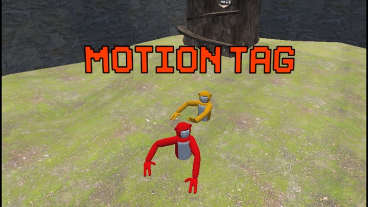 Motion Tag
