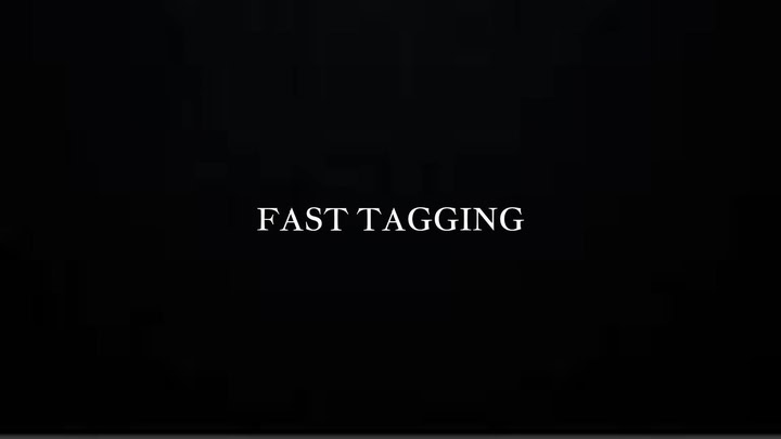 Fast Tagging