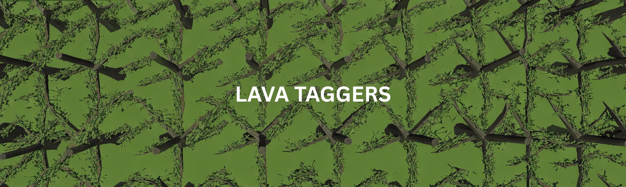 Lava Taggers