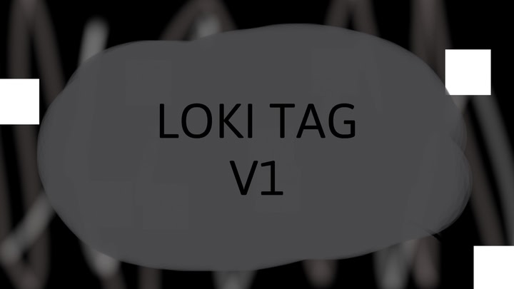 LokiTag