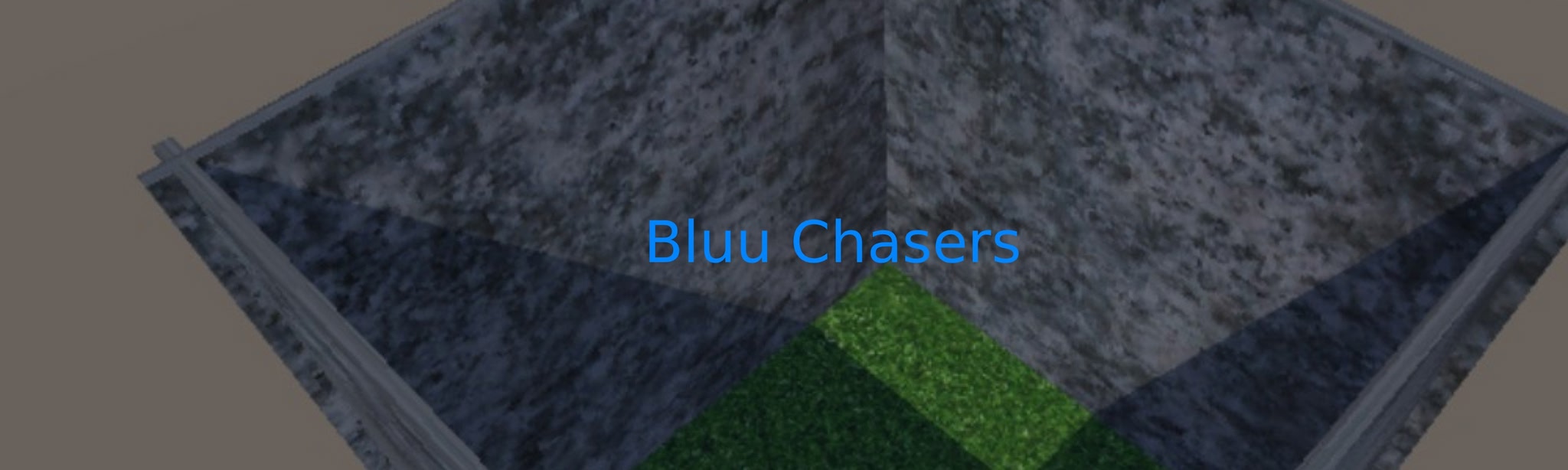 Bluu Chasers
