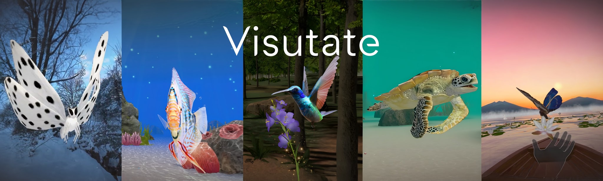 Visutate: Relax, Escape, Explore