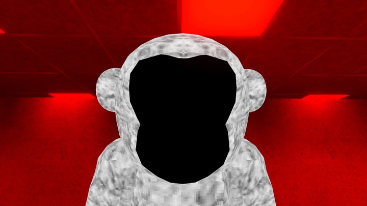 Seeking Apes