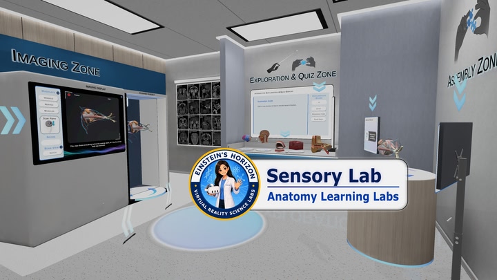 Anatomy Learning Labs: Sensory Lab