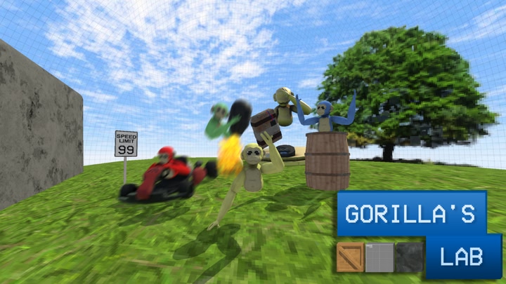 Gorilla’s Lab