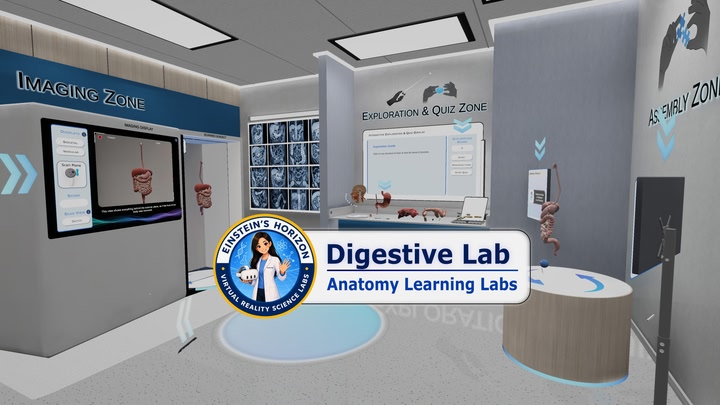 Anatomy Learning Labs: Digestive Lab