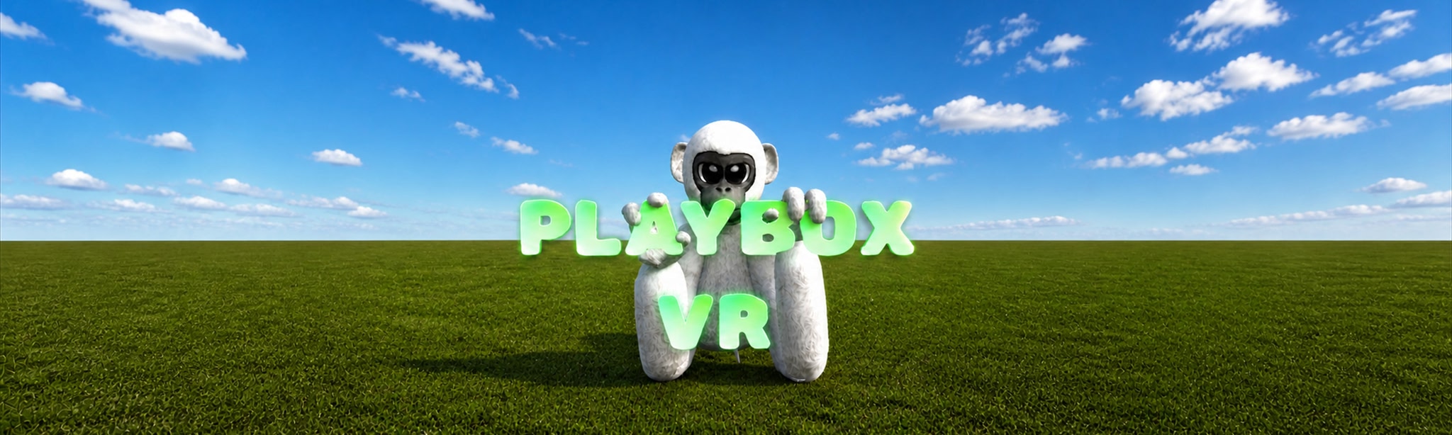 PlayboxVR
