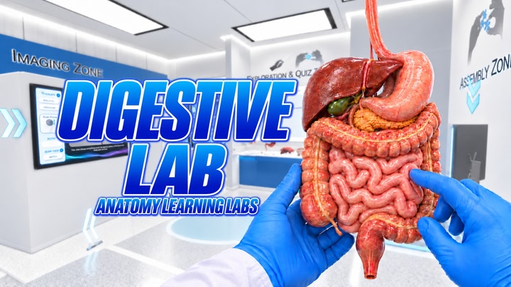 Anatomy Learning Labs: Digestive Lab