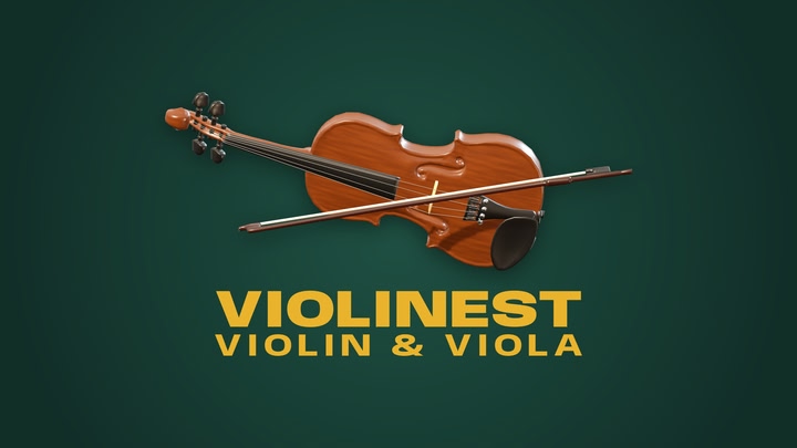 Violinest
