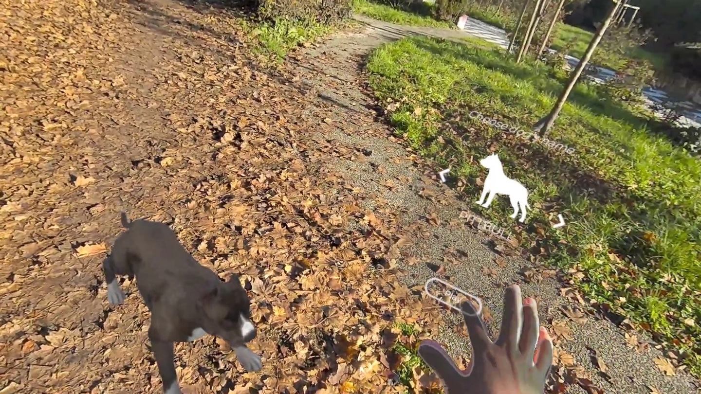 #3. MyPetXR (Meta) 由: Metagate Studio